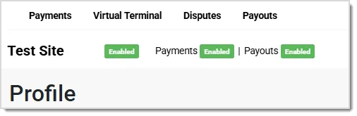 Image showing the status flags on the Payments Portal Profile page.