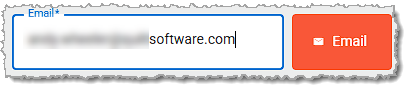 Image showing the Email field in the electronic journal page of the  system's back end.